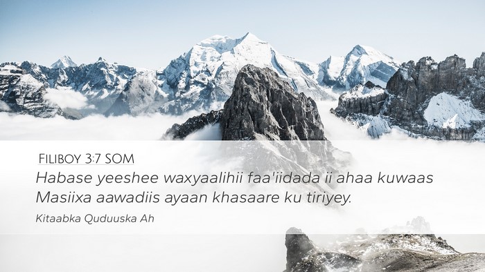 Filiboy 3:7 SOM Bible Verse Image
