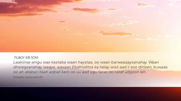 Filiboy 4:18 SOM Bible Verse Image