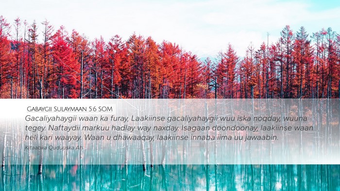 Gabaygii Sulaymaan 5:6 SOM Bible Verse Image