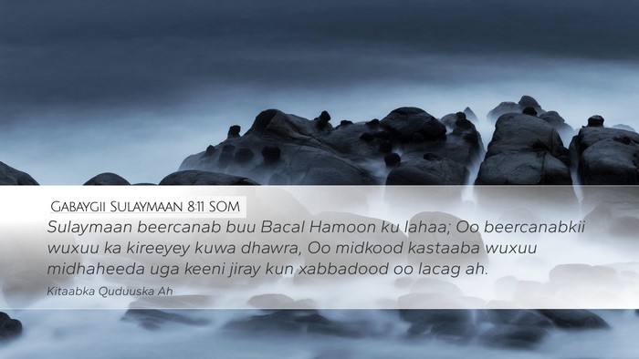 Gabaygii Sulaymaan 8:11 SOM Bible Verse Image