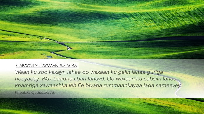 Gabaygii Sulaymaan 8:2 SOM Bible Verse Image