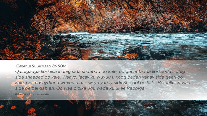 Gabaygii Sulaymaan 8:6 SOM Bible Verse Image