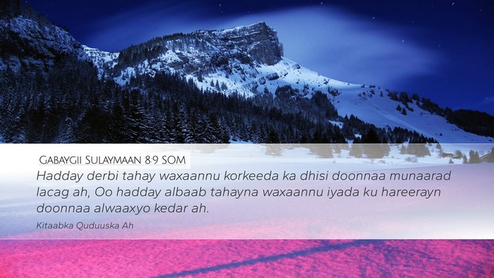 Gabaygii Sulaymaan 8:9 SOM Bible Verse Image