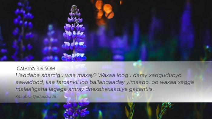 Galatiya 3:19 SOM Bible Verse Image