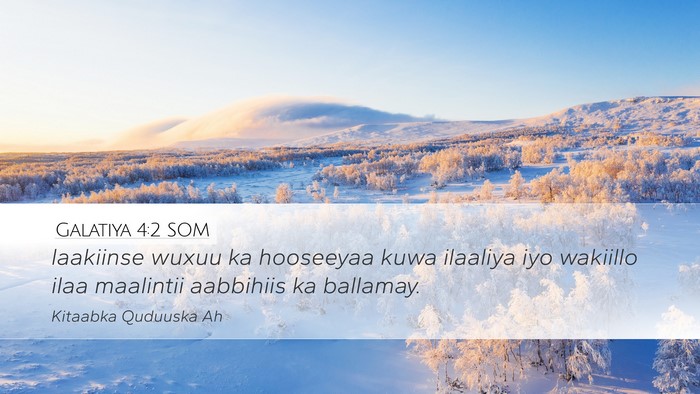 Galatiya 4:2 SOM Bible Verse Image