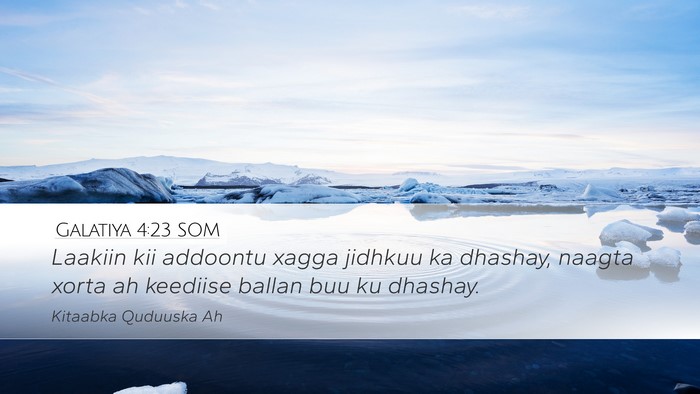 Galatiya 4:23 SOM Bible Verse Image