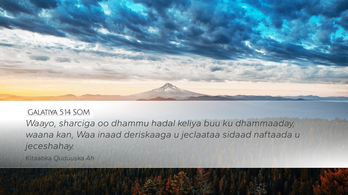 Galatiya 5:14 SOM Bible Verse Image