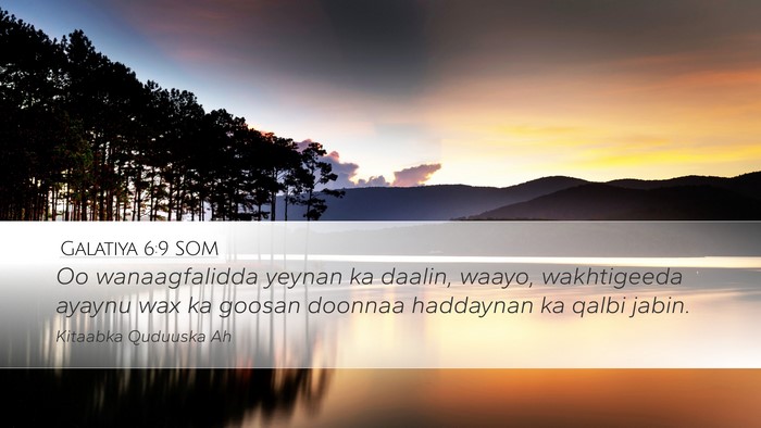 Galatiya 6:9 SOM Bible Verse Image