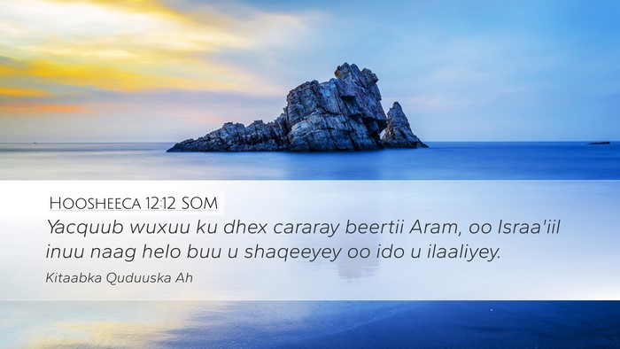 Hoosheeca 12:12 SOM Bible Verse Image