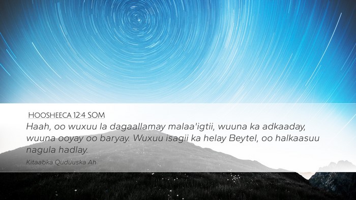 Hoosheeca 12:4 SOM Bible Verse Image