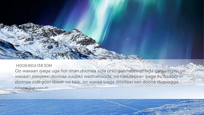 Hoosheeca 13:8 SOM Bible Verse Image