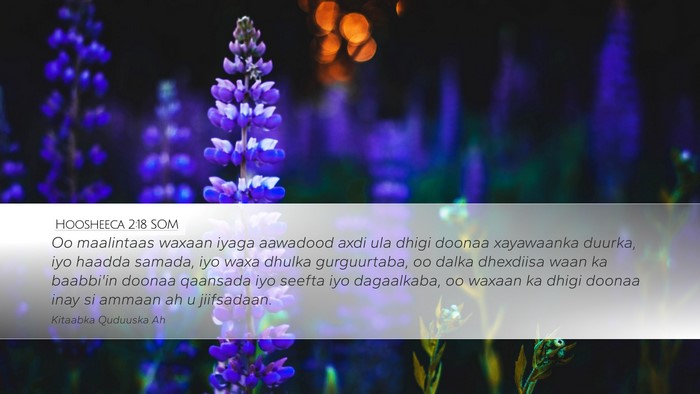 Hoosheeca 2:18 SOM Bible Verse Image