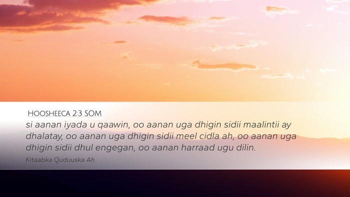 Hoosheeca 2:3 SOM Bible Verse Image