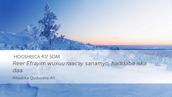 Hoosheeca 4:17 SOM Bible Verse Image