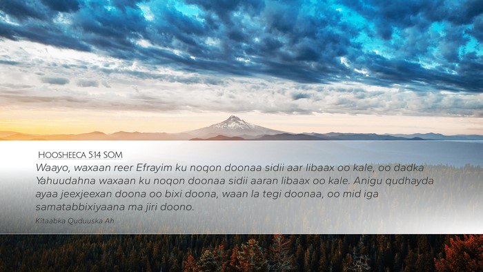 Hoosheeca 5:14 SOM Bible Verse Image