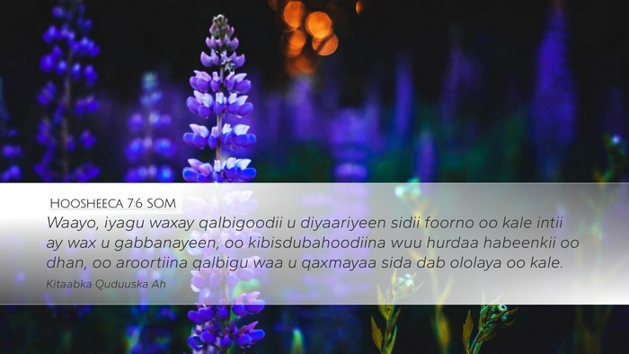 Hoosheeca 7:6 SOM Bible Verse Image