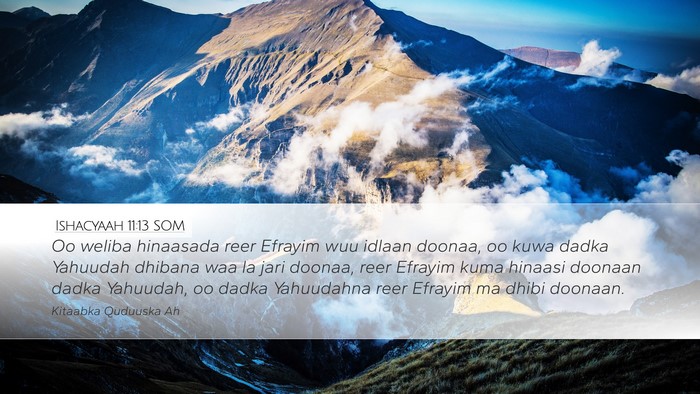 Ishacyaah 11:13 SOM Bible Verse Image