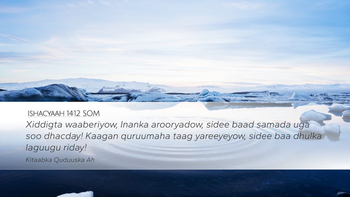 Ishacyaah 14:12 SOM Bible Verse Image