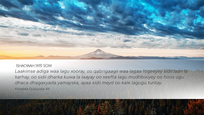 Ishacyaah 14:19 SOM Bible Verse Image