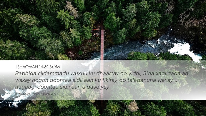 Ishacyaah 14:24 SOM Bible Verse Image