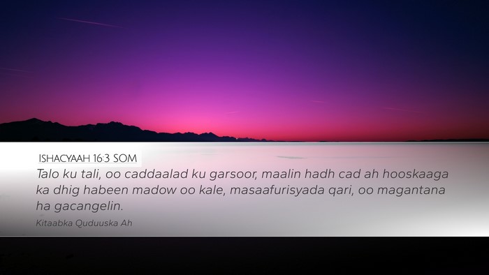 Ishacyaah 16:3 SOM Bible Verse Image