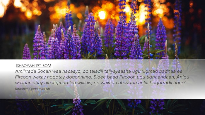 Ishacyaah 19:11 SOM Bible Verse Image