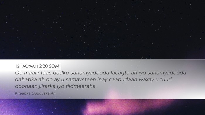 Ishacyaah 2:20 SOM Bible Verse Image