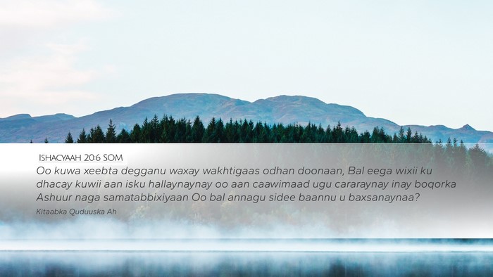 Ishacyaah 20:6 SOM Bible Verse Image