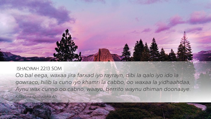 Ishacyaah 22:13 SOM Bible Verse Image