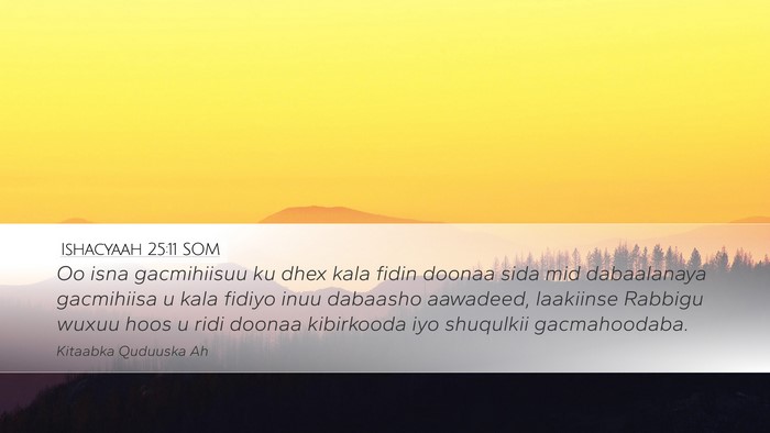 Ishacyaah 25:11 SOM Bible Verse Image