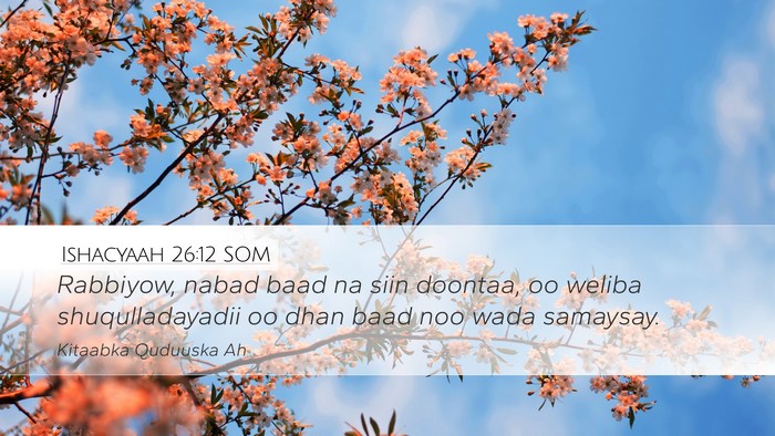 Ishacyaah 26:12 SOM Bible Verse Image