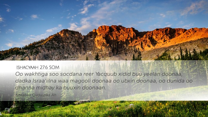 Ishacyaah 27:6 SOM Bible Verse Image