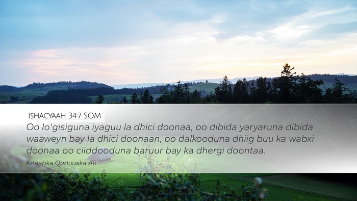Ishacyaah 34:7 SOM Bible Verse Image