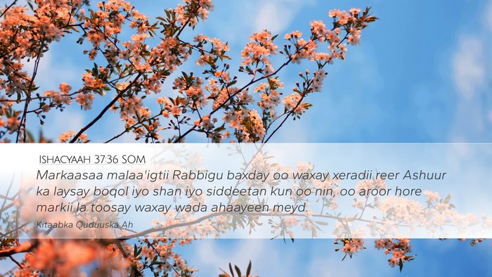 Ishacyaah 37:36 SOM Bible Verse Image