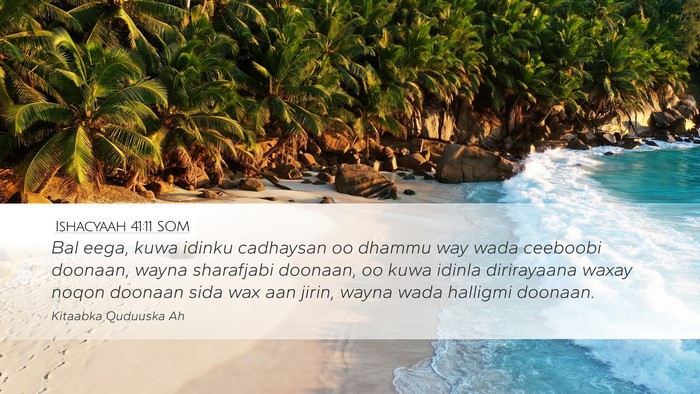 Ishacyaah 41:11 SOM Bible Verse Image
