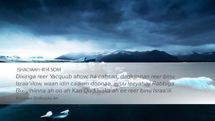 Ishacyaah 41:14 SOM Bible Verse Image