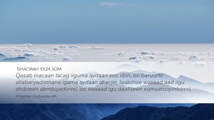 Ishacyaah 43:24 SOM Bible Verse Image