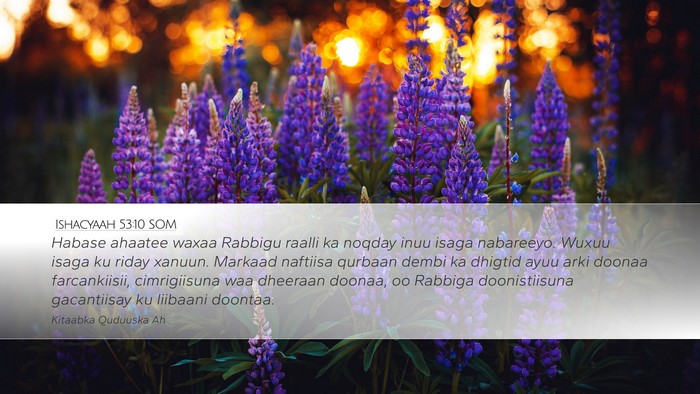 Ishacyaah 53:10 SOM Bible Verse Image