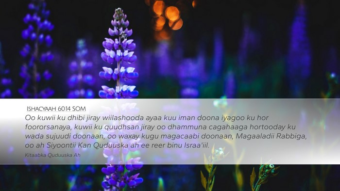 Ishacyaah 60:14 SOM Bible Verse Image