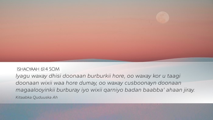Ishacyaah 61:4 SOM Bible Verse Image