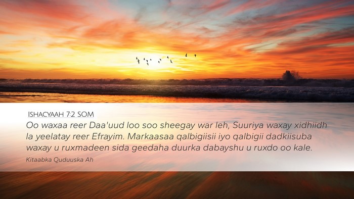 Ishacyaah 7:2 SOM Bible Verse Image
