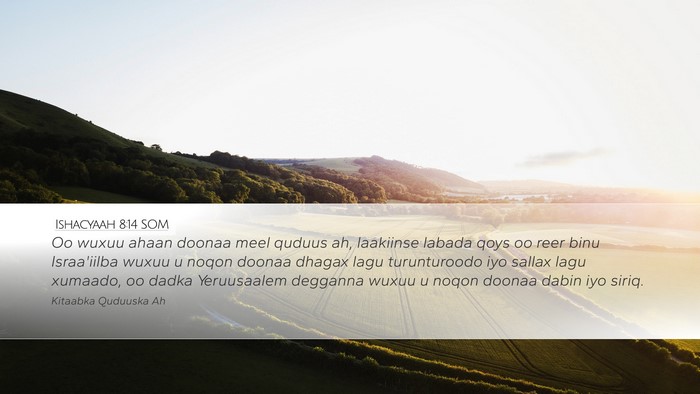 Ishacyaah 8:14 SOM Bible Verse Image