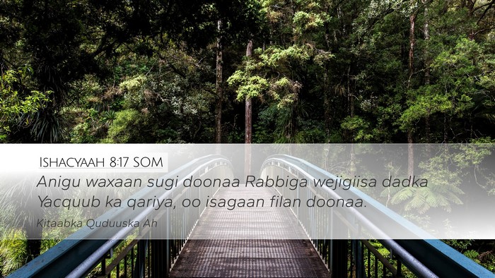 Ishacyaah 8:17 SOM Bible Verse Image