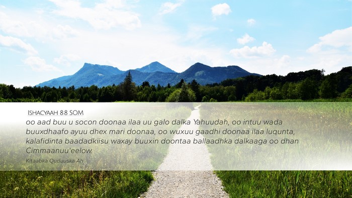 Ishacyaah 8:8 SOM Bible Verse Image