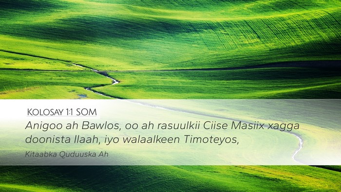 Kolosay 1:1 SOM Bible Verse Image
