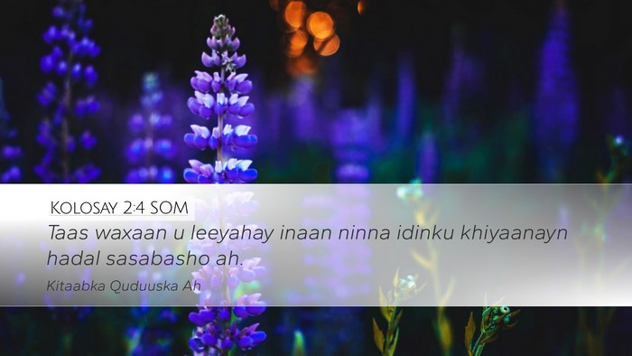 Kolosay 2:4 SOM Bible Verse Image