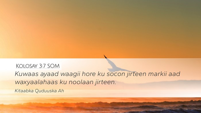 Kolosay 3:7 SOM Desktop Wallpaper - Kuwaas ayaad waagii hore ku socon jirteen markii - Desktop Bible Verse Wallpaper