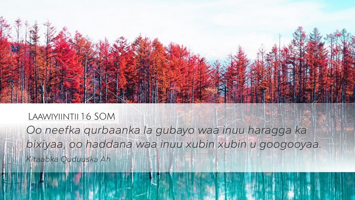 Laawiyiintii 1:6 SOM Bible Verse Image