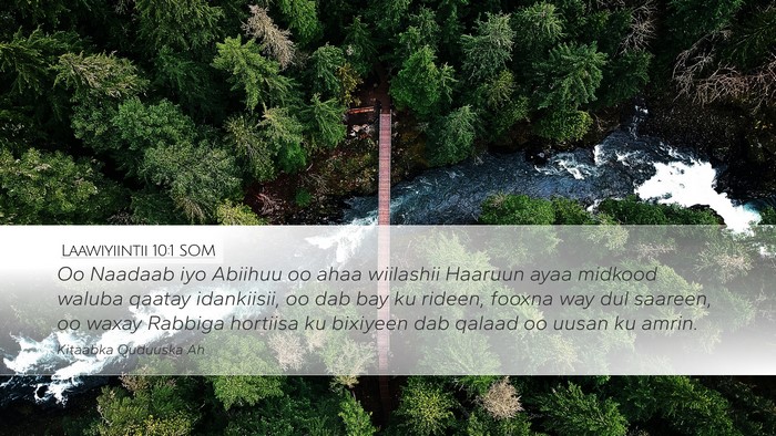 Laawiyiintii 10:1 SOM Bible Verse Image