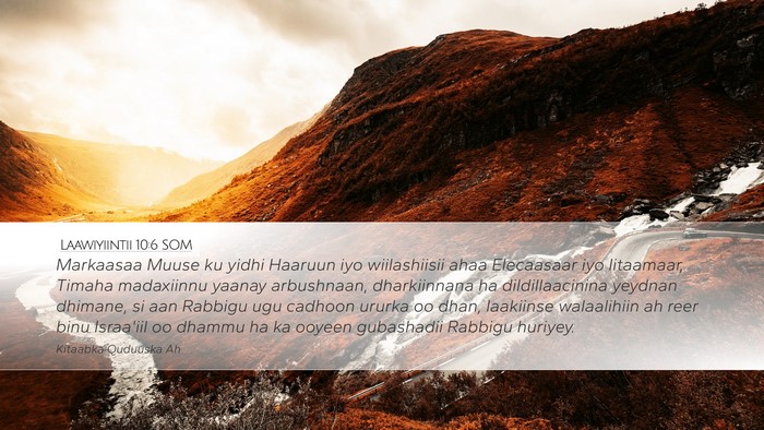 Laawiyiintii 10:6 SOM Bible Verse Image